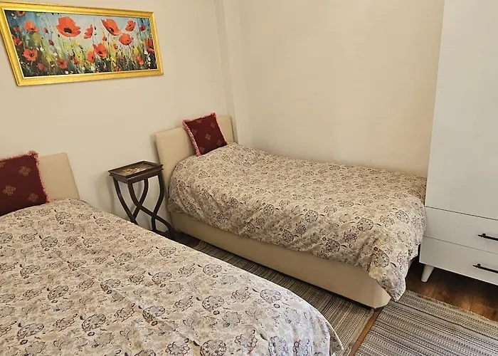 Historical Apartment Besiktas Center