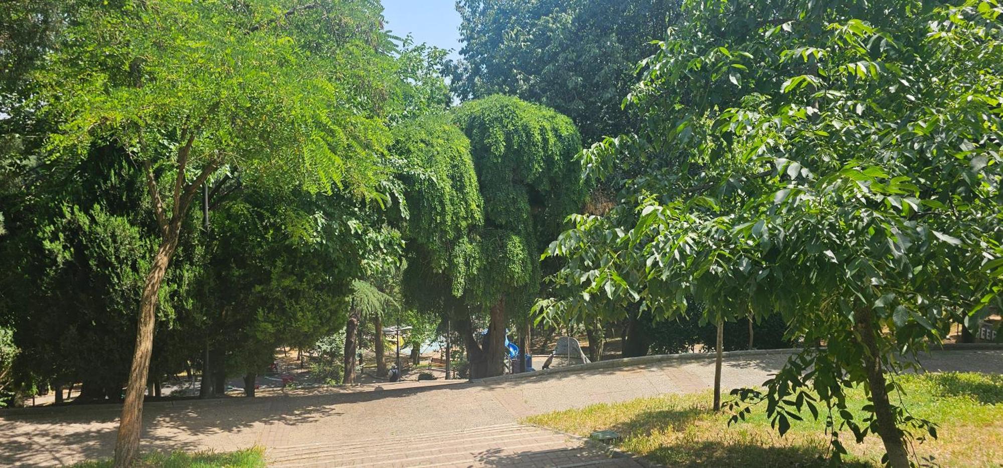 Historical Besiktas Center Apartment